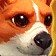 Overtuned Corgi Goggles
