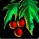 Wild Holly